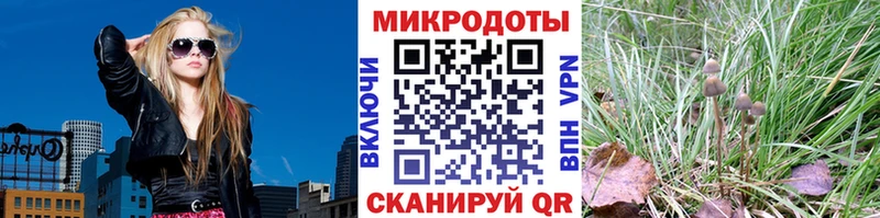 Галлюциногенные грибы Psilocybine cubensis Купить закладки Белогорск